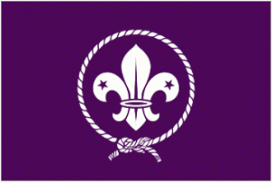 world_scout_flag