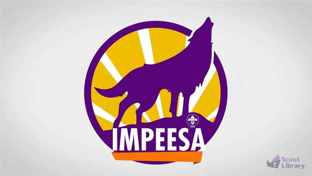 Impeesa – the wolf that never sleeps